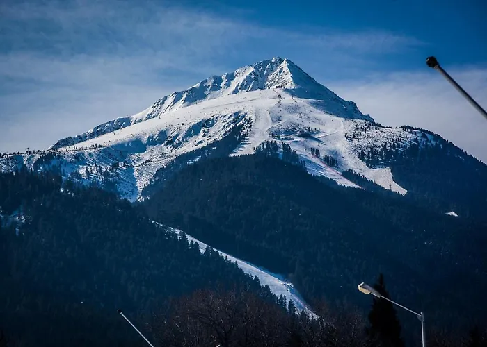 Apartment Lime Bansko